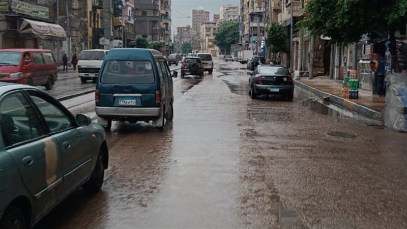 الإسكندرية،فيتو