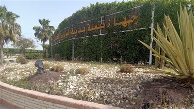 رئيس جهاز النوبارية يتفقد عددا من مشروعات المدينة