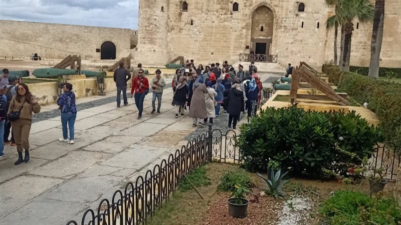 الإسكندرية، فيتو