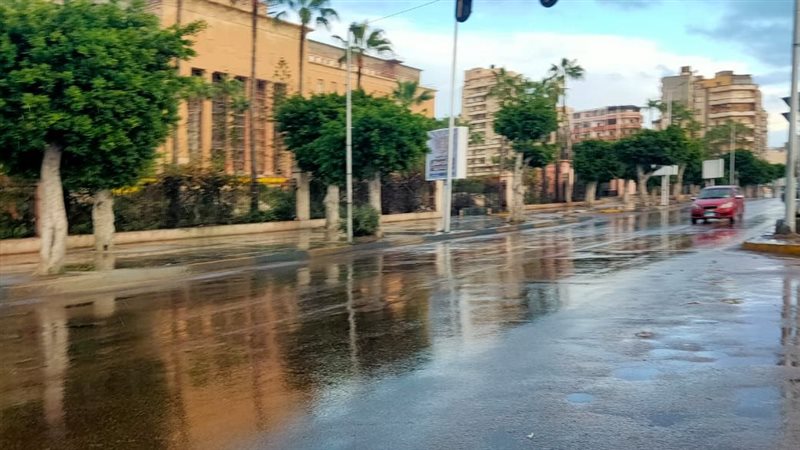 حالة الطقس،فيتو 