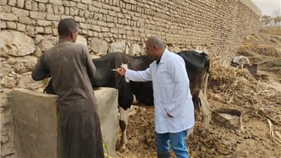 غدا انطلاق الحملة القومية ضد مرض الجلد العقدي وجدري الأغنام
