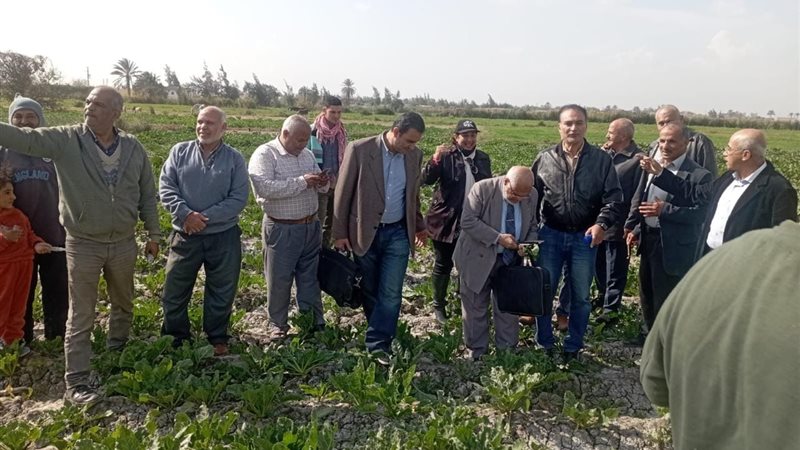  الزراعة تستهدف المحاصيل