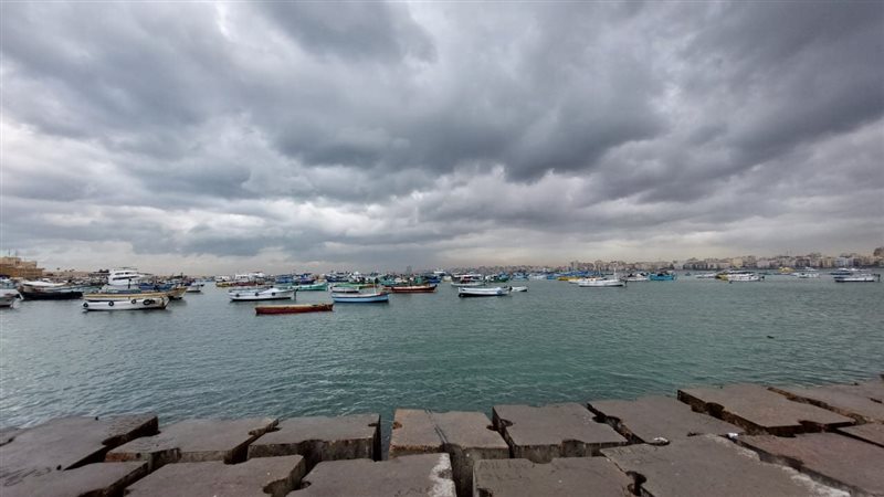 حالة الطقس،فيتو 