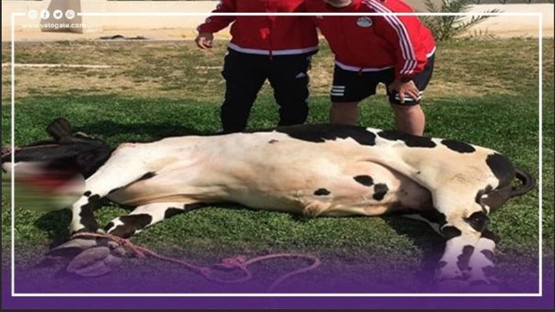 اتحاد الكرة يذبح