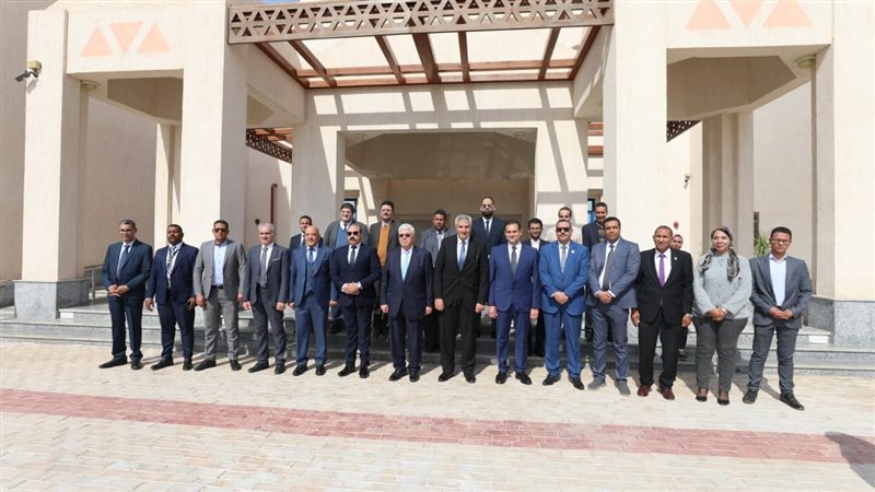 التعليم العالي والبحث