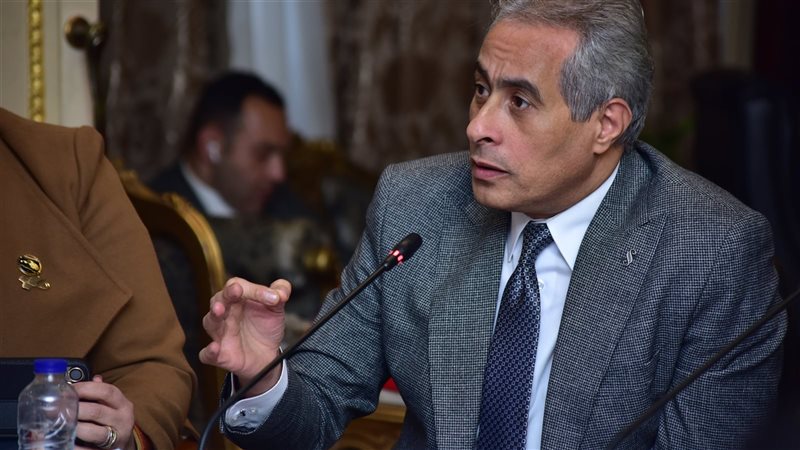 حسن شحاتة وزير العمل،فيتو
