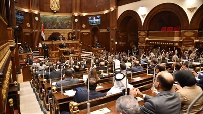 تفاصيل 10 تقارير يحيلها مجلس الشيوخ إلى الحكومة الأسبوع المقبل