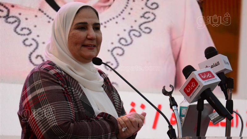 نيفين القباج، وزيرة