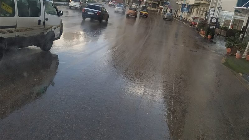 الإسكندرية،فيتو