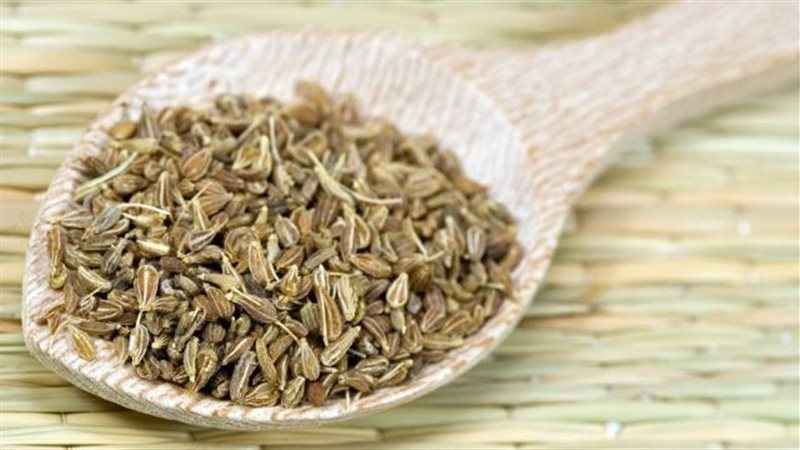 فوائد الينسون، فيتو