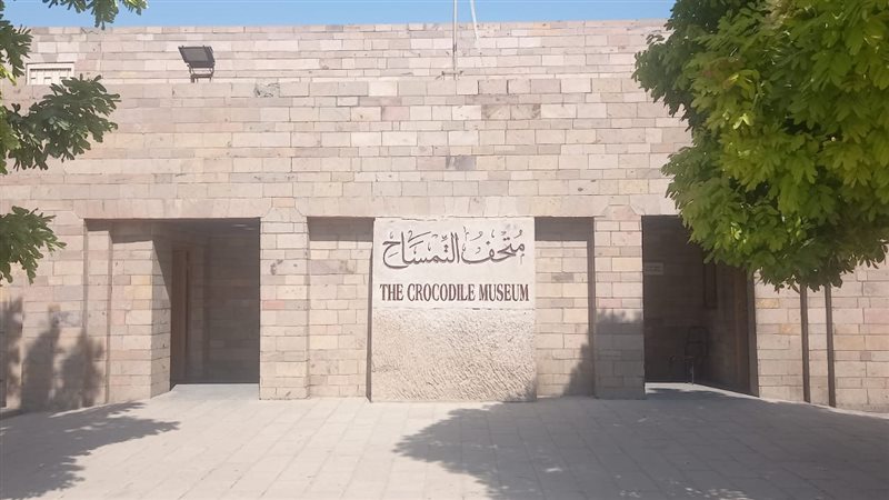 متحف التمساح،فيتو