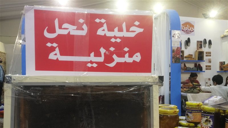 خلية النحل المنزلية،
