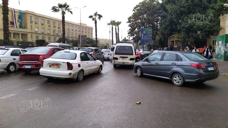 حالة الطقس غدا، فيتو