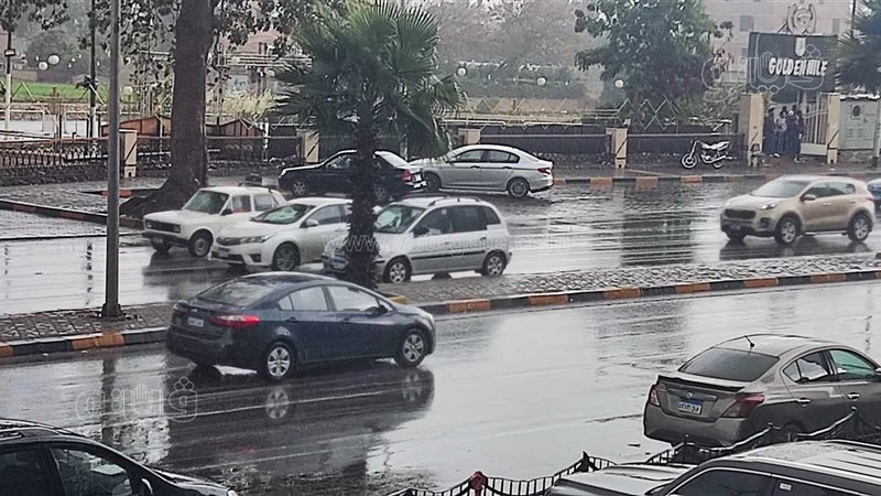 حالة الطقس غدا، فيتو