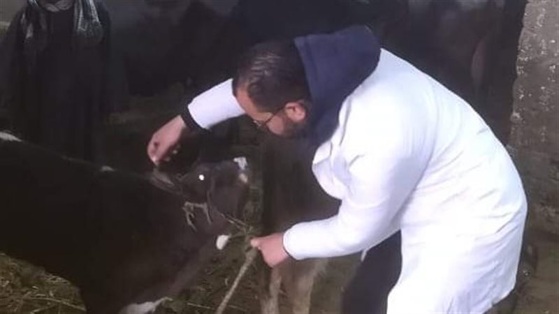 ندوات إرشادية لتربية
