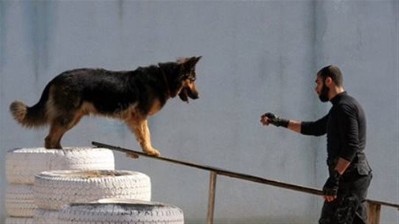 صحيفة عبرية ترصد