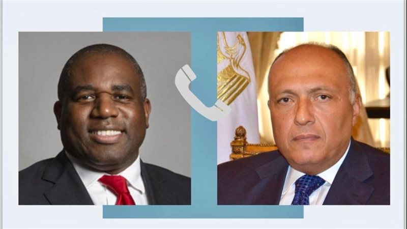 سامح شكرى وزير الخارجية،