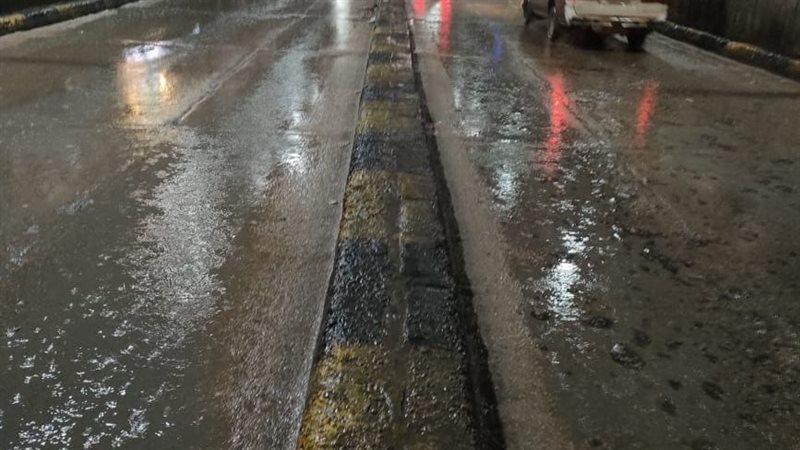 الإسكندرية،فيتو