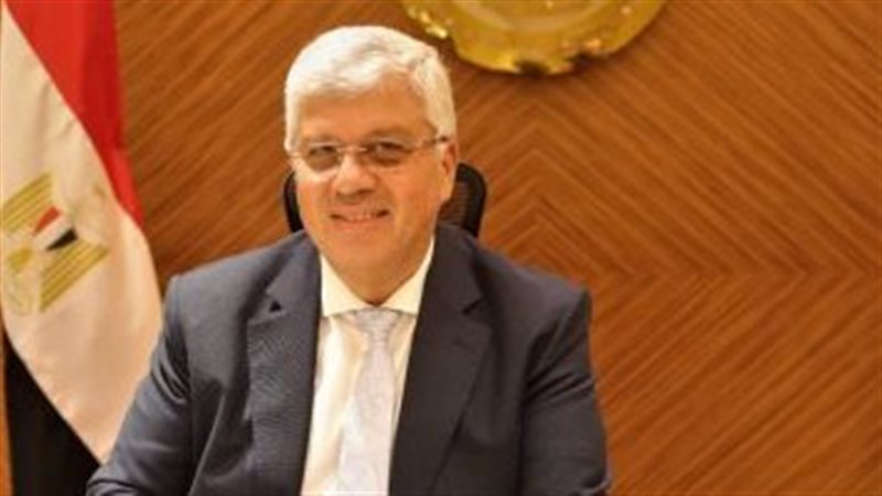 الدكتور أيمن عاشور