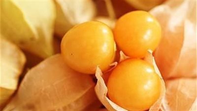فوائد الحرنكش للحامل، يقلل من خطر تورم الأطراف ويعالج الإمساك
