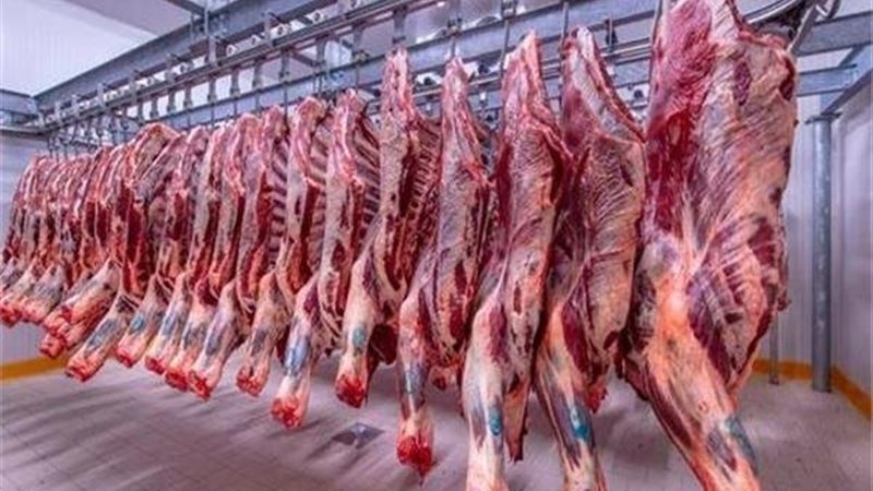 أسعار اللحوم في الأسواق،