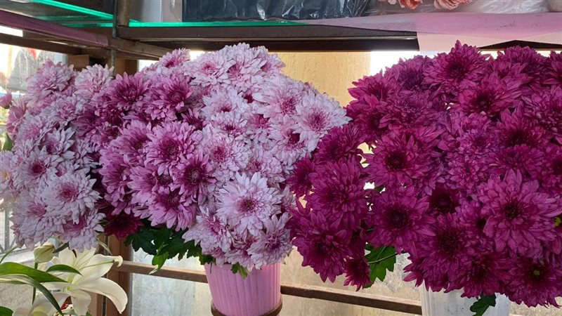 أسعار ورد عيد الحب
