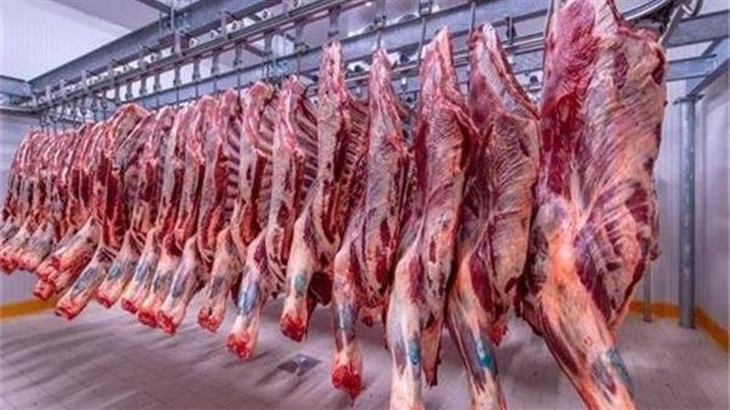 تأثير رفع أسعار الوقود