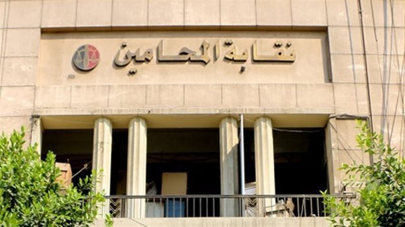 نقابة المحامين،فيتو