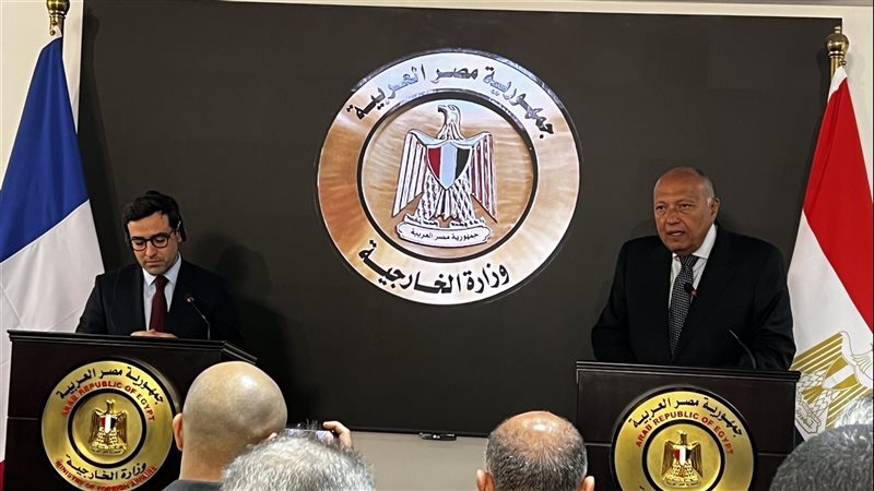 سامح شكرى وزير الخارجية