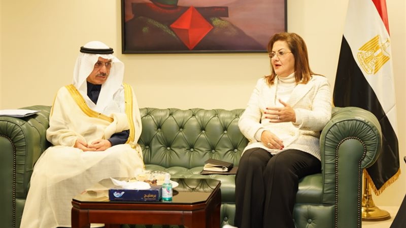هالة السعيد، وزيرة