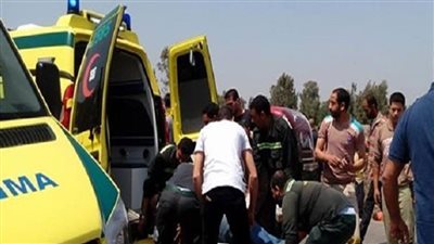 حبس السائق المتسبب في حادث تصادم سيارتي ملاكي بالمطرية 