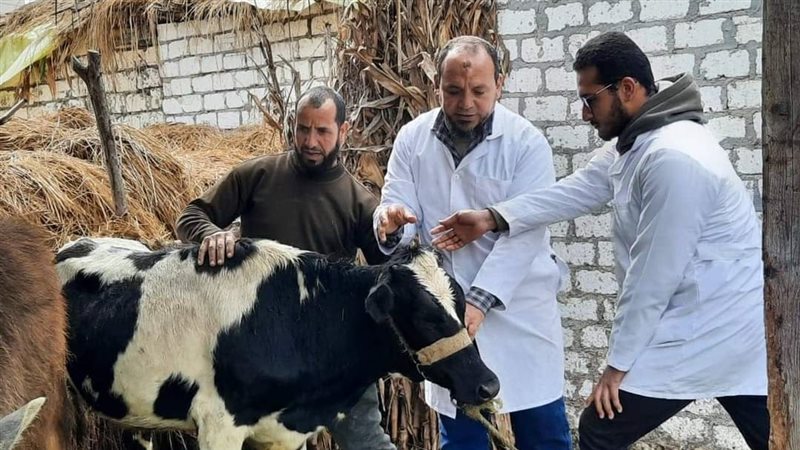 جانب من القافلة السكانية