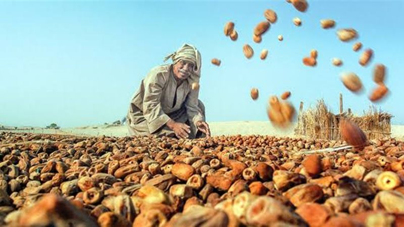 التمور