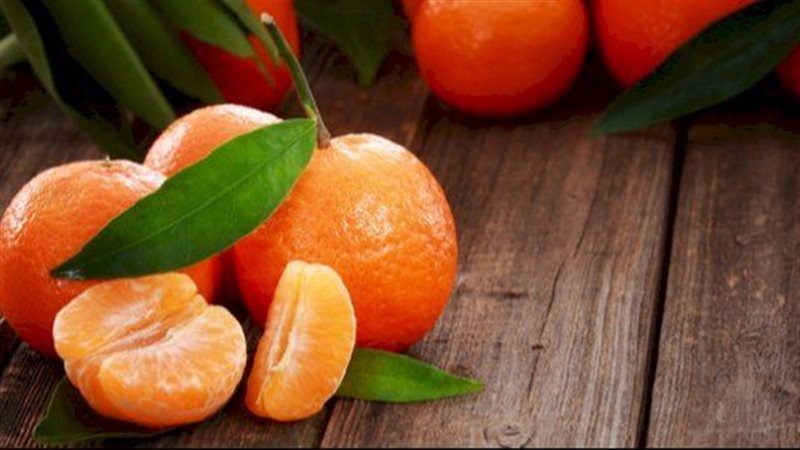 فوائد السفندي، فيتو