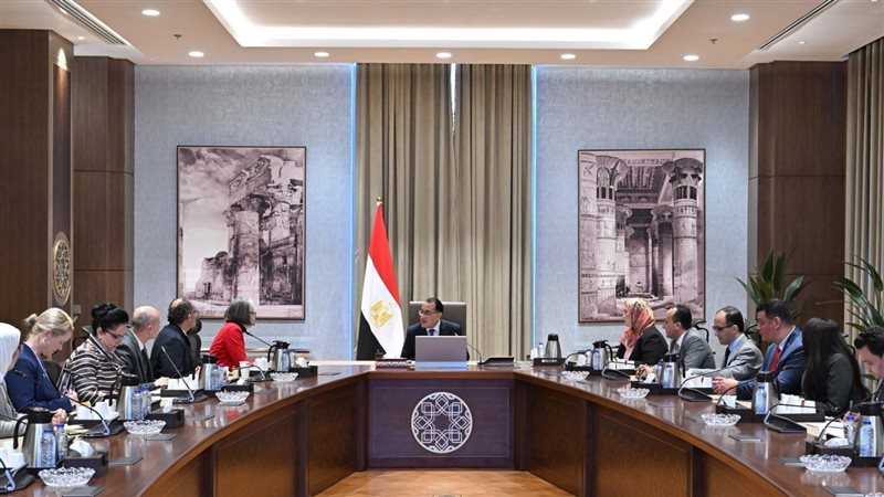 مجلس الوزراء، فيتو