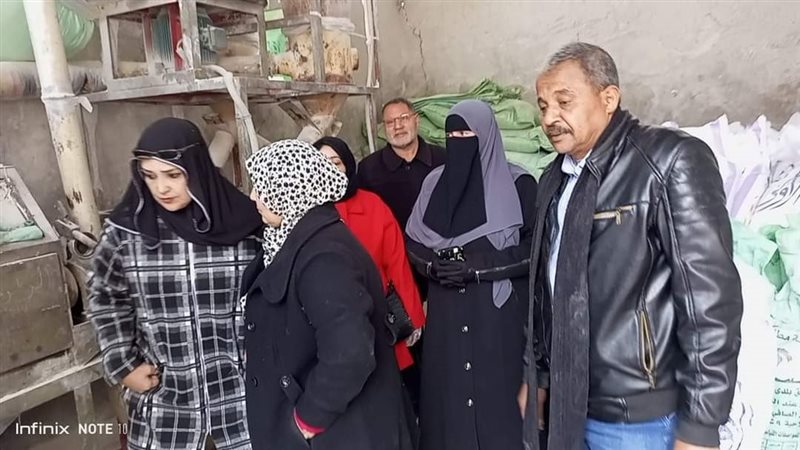 حملات تموبنية بالدقهلية،