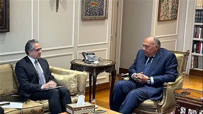 وزير الخارجية يستقبل مرشح مصر لمنصب مدير عام 