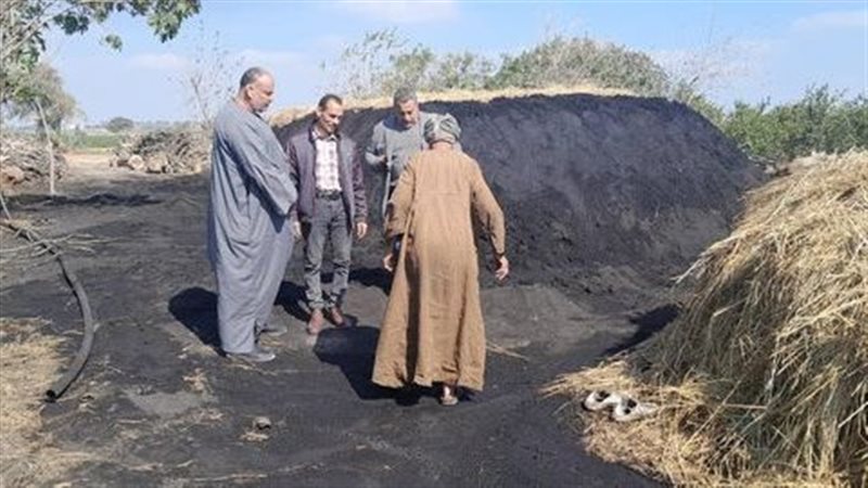 مكامير الفحم العشوائية،