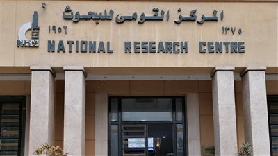 دراسة بالقومي للبحوث تكشف فوائد المكملات الغذائية وأضرار الإفراط في تناولها