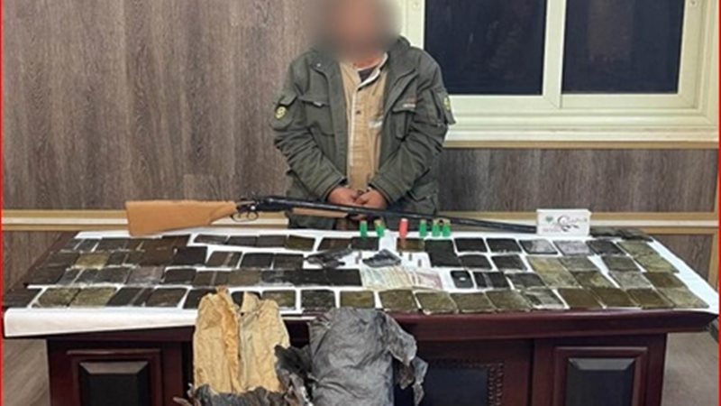 ضبط مخدرات،فيتو