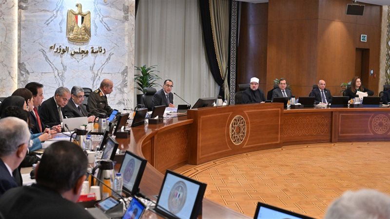 مجلس الوزراء، فيتو