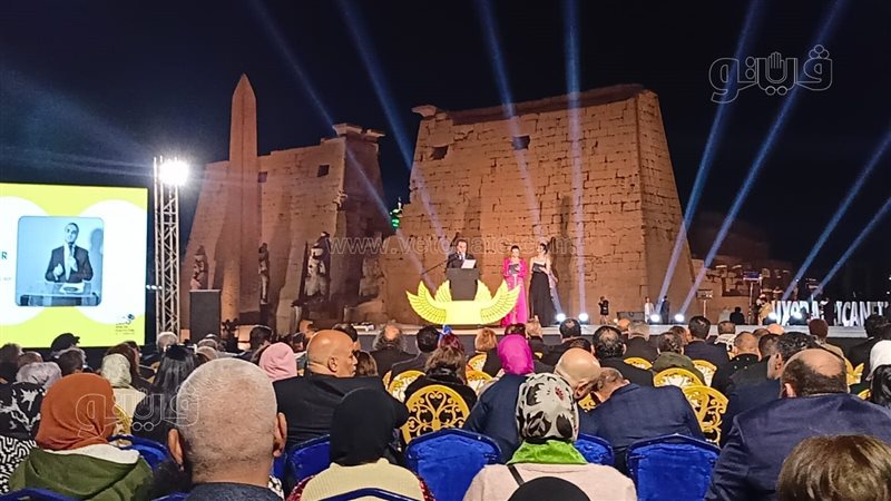 نائب محافظ الأقصر،