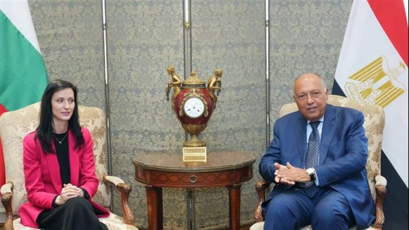 سامح شكرى وزير الخارجية،