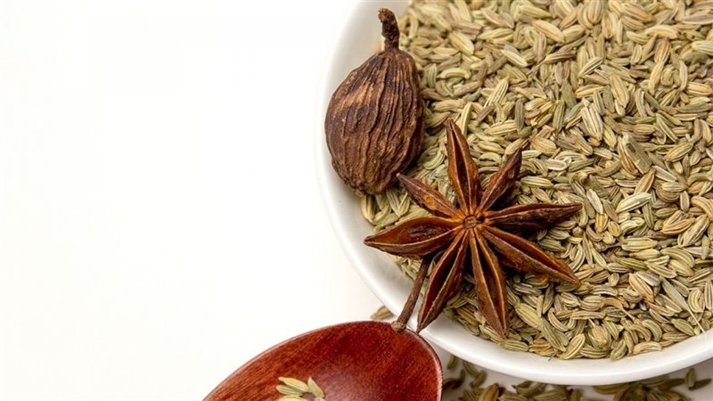 فوائد اليانسون، فيتو