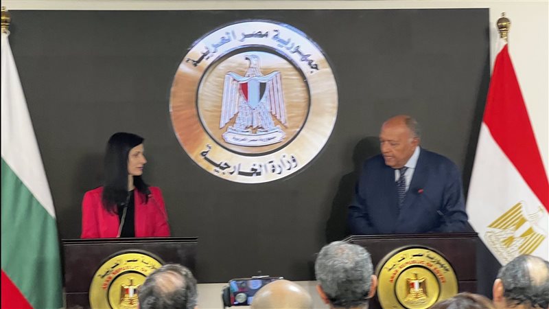 سامح شكرى وزير الخارجية