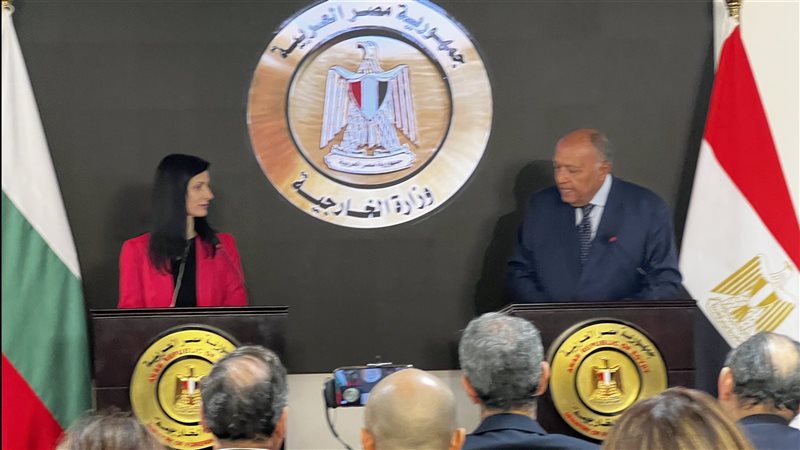 سامح شكري وزير الخارجية