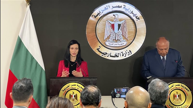 سامح شكرى وزير الخارجية