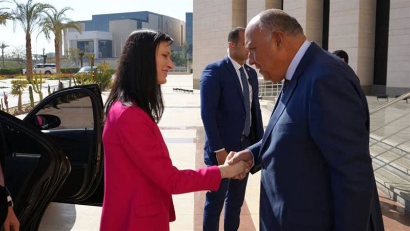 سامح شكري وزير الخارجية