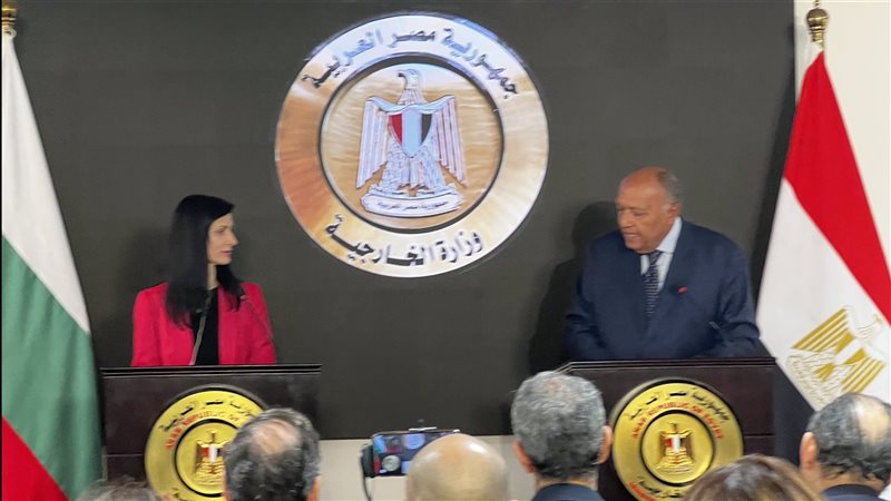 وزيرا خارجية مصر