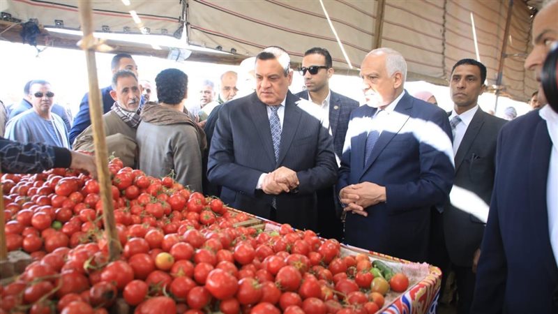 وزير التنمية المحلية